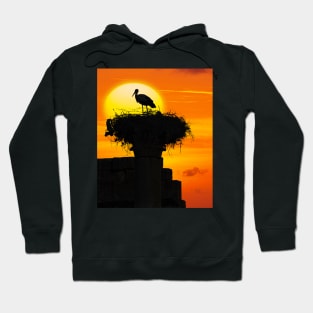 Volubilis Stork. Hoodie